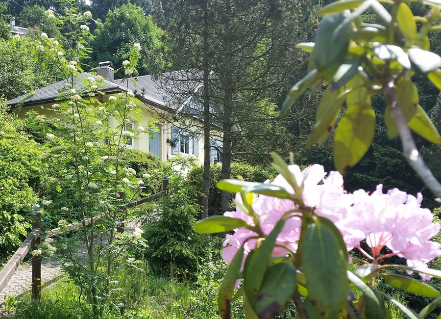 Ferienhaus Ansicht Steinach Thüringen