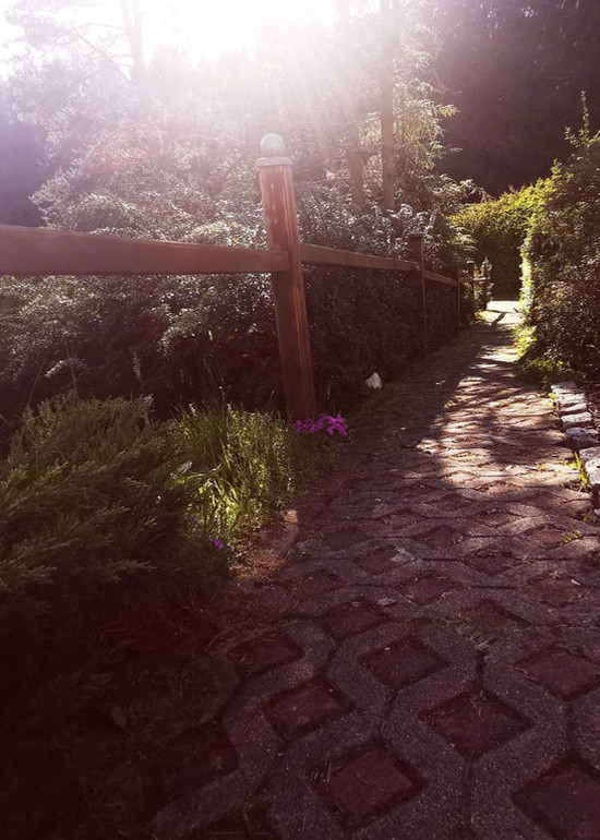 Ferienhaus Ansicht Gartenweg