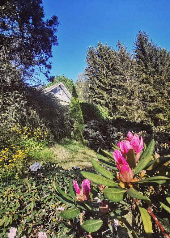 Ferienhaus Ansicht Gartenweg