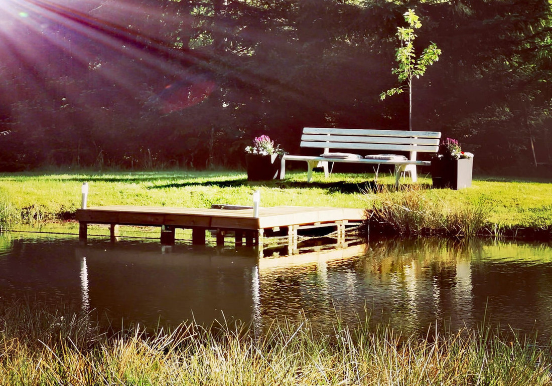 Ferienhaus Ansicht Teich mit Bank